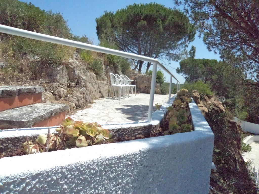 Villa Branca Do Castelo 塞辛布拉 外观 照片